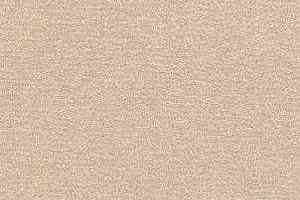 Ковролин Radici Nexus Avena 2403 фото  | FLOORDEALER